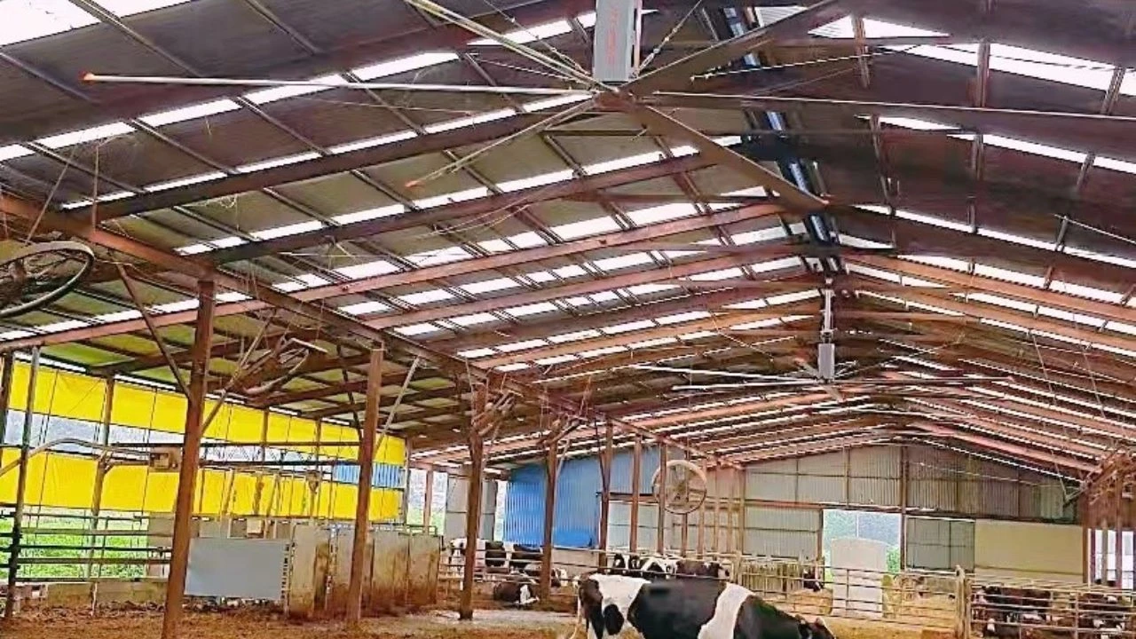 What is RTFANS HVLS ceiling fans? - RTFANS